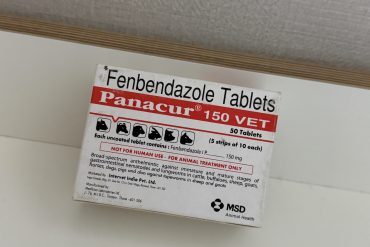 반려동물 구충제 펜벤다졸-정보글-델리샵 (1)