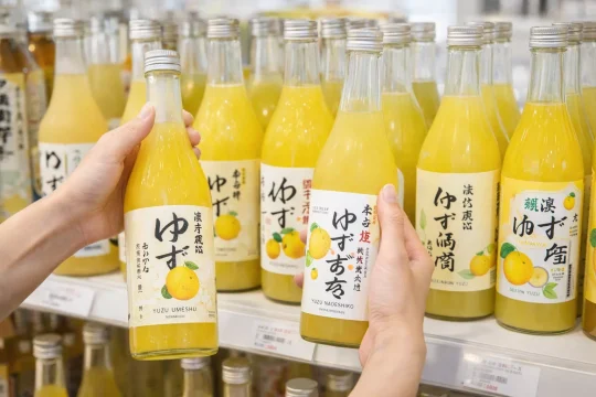 일본 유자 사케를 처음 고를 때 여러 제품을 비교하는 자연스러운 이미지